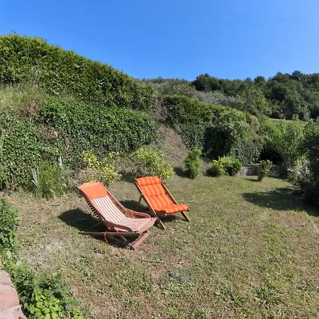 Forrest * Portorož