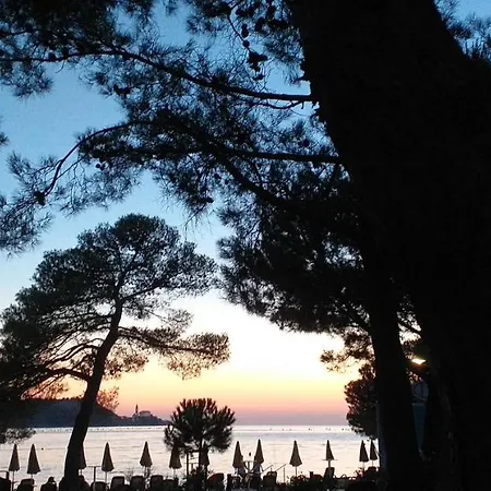 Forrest Appartamento *