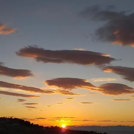 Forrest * בפורטורוז