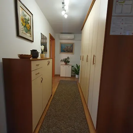 Forrest בפורטורוז