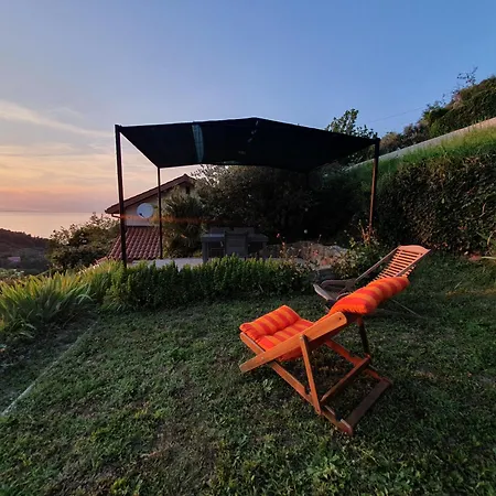 Forrest בפורטורוז