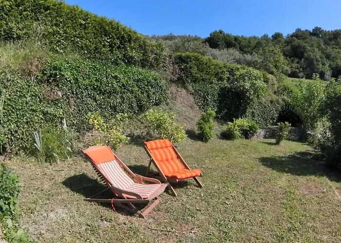 Forrest * Πορτορόζ