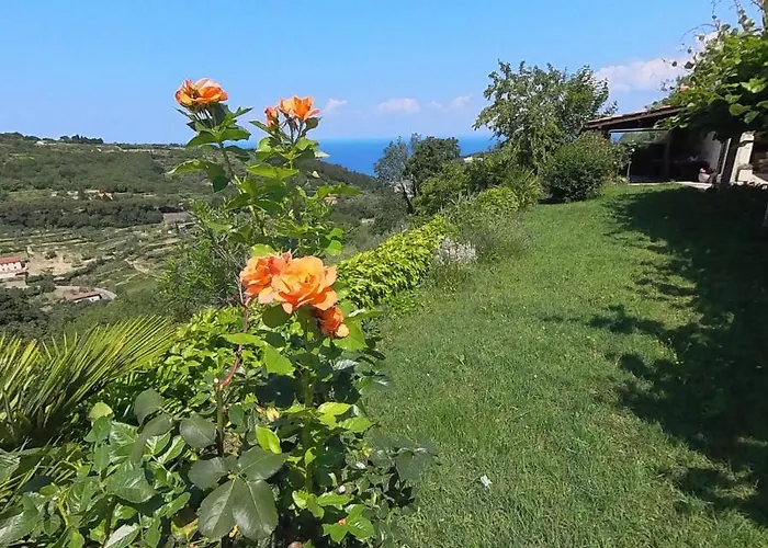 Διαμέρισμα Forrest *