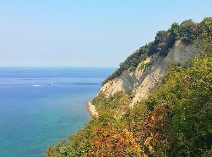 Διαμέρισμα Forrest *