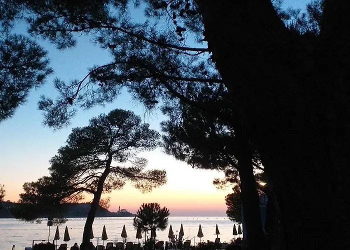 Forrest Διαμέρισμα *