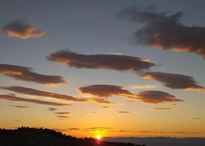 Forrest * Πορτορόζ